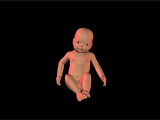Fetus Animation
