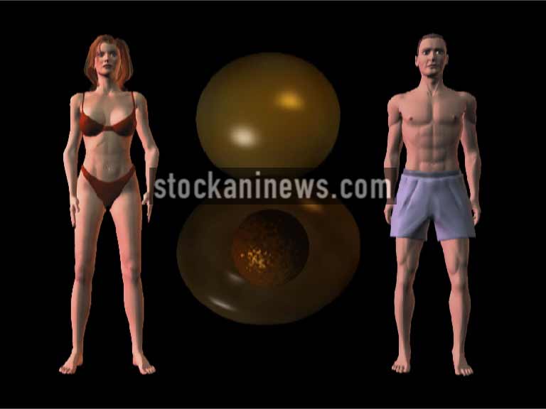 human cloning, stem cells, egg